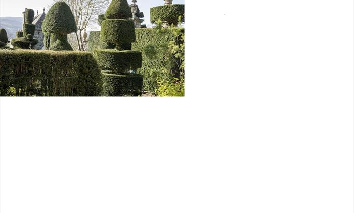 Topiary at the Gardens